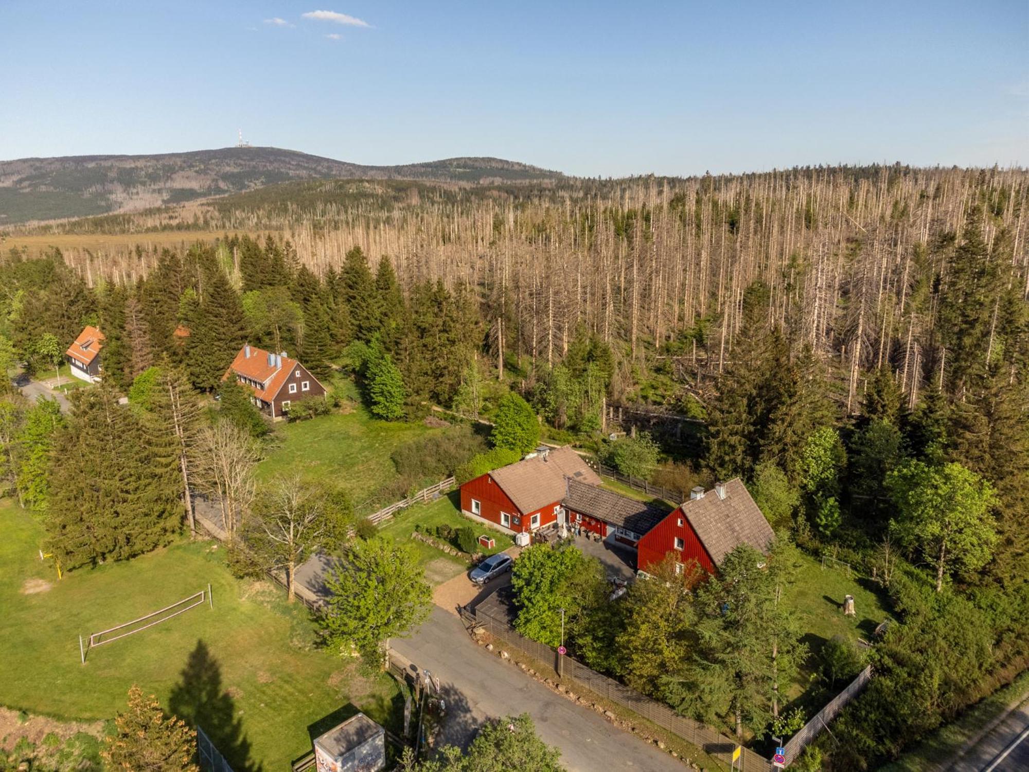 Gruppen & Familien-Ferienhaus Hansel Torfhaus Bagian luar foto